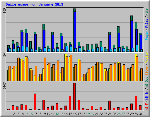 Daily usage for January 2013