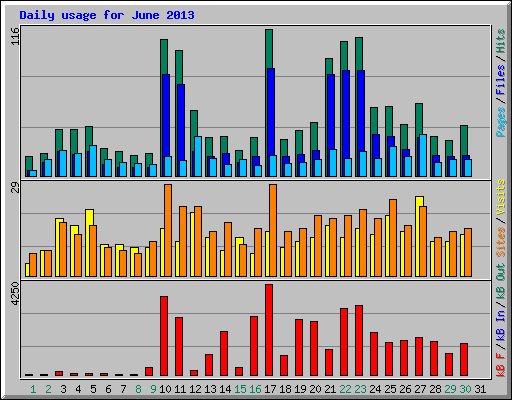 Daily usage for June 2013