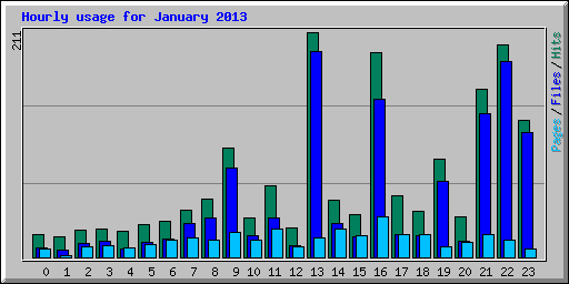 Hourly usage for January 2013